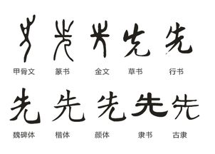 先字的六种古代字体 