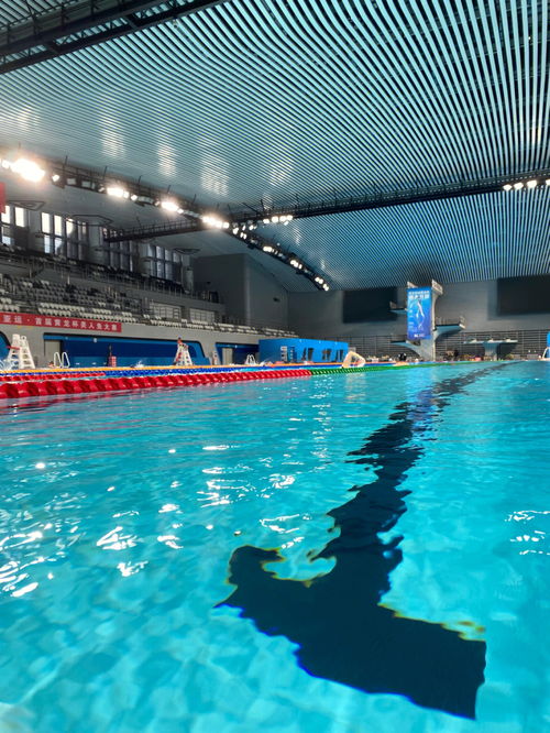 杭州这个亚运会游泳场馆真的太爽了 