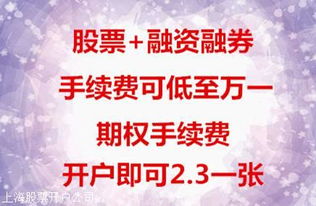 股票手续费 降低怎么降低呀 我的是千分之一高不高 啊找开户的人降低吗