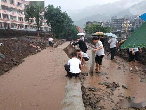 洪水的受灾情况