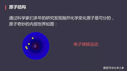 初中化学高频考点 原子的结构专题详解