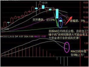 2021年投资中长期股票有哪些