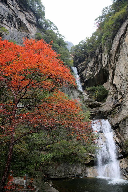 五一去哪儿 西安乡村休闲旅游十条精品线路总有一条适合你