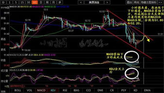 日间交易和普通股票什么区别？ 在中国能做日间交易吗？ 通过什么平台做呢？