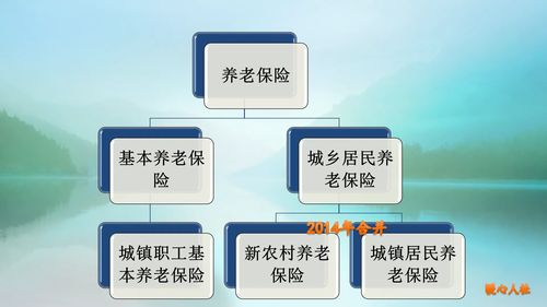 城乡居民养老保险可以升档吗 (湖北农村养老保险费能否提档)