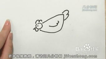 母鸡与小鸡的绘画怎样画 
