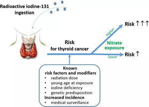 乐康肿瘤专家 甲状腺癌的放射性碘治疗