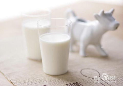 为什么有的人喝纯牛奶拉肚子