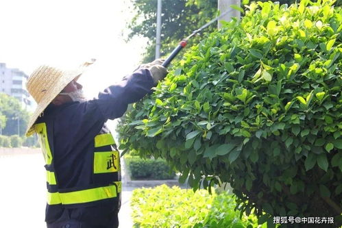 中国十大苗木市场(佛山园林草坪灯具批发市场)