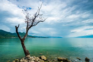 大理洱海一线海景,逐水而居诗情画意