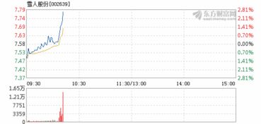 雪人股份 股票历史最高价多少