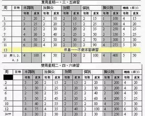 美国著名弹跳训练计划 