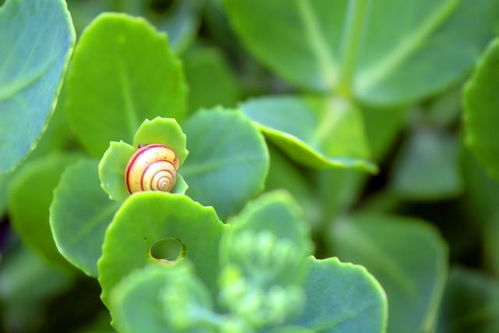 保护生物多样性除了生物技术 环境监测设备亦有大作为