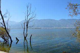 那些湖水蓝的旅行 丽江 大理闺蜜2人游 