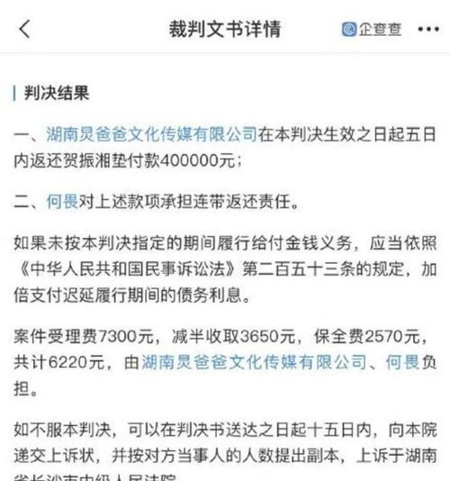 金钱惹的祸 明星成 老赖 胡海泉 王珞丹 郑恺纷纷沦陷