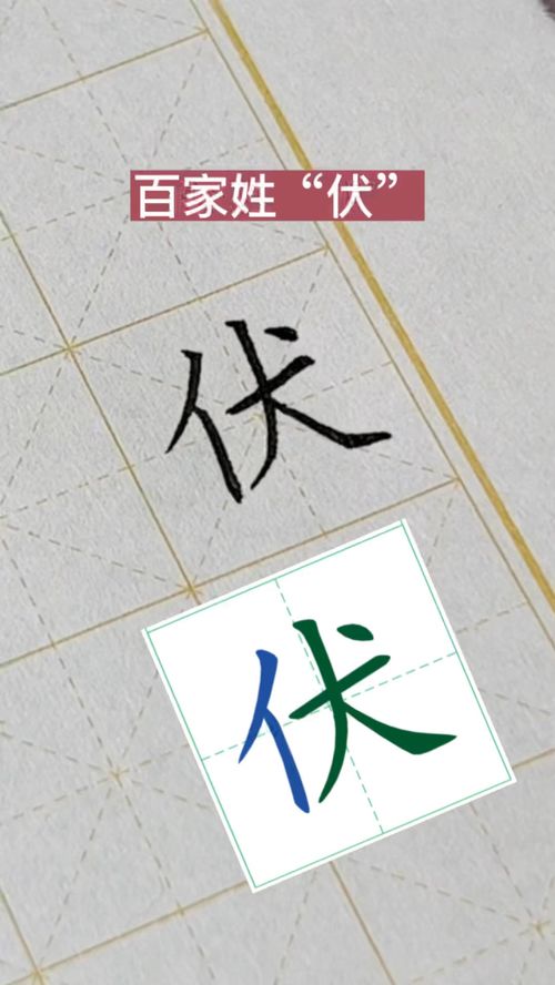 大志书法 规范字楷体书写百家姓 伏 