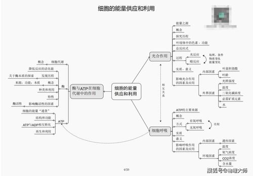 高考生物 知识框架必修一二三知识点汇总