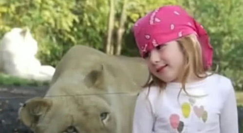 表情 小女孩去动物园游玩,途中遇到只狮子,合影时狮子的表情超暖心 表情 
