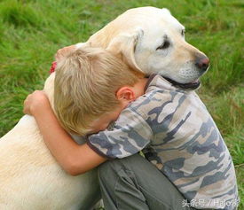 研究 养狗让小朋友压力锐减,比爸妈陪伴还好 