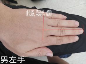 一生婚姻情感稳定的手相