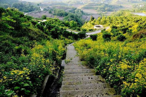 广安十大乡村旅游点位发布,邀您共赏田园风光 附旅游线路