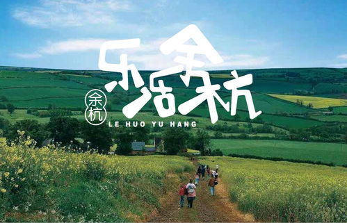 余杭品牌设计公司哪家好(余杭品牌设计公司排名)