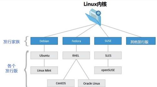 比较知名的linux发行版本有哪些(centos7和redhat7对比)