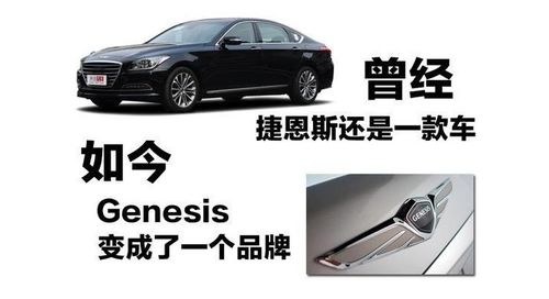 Genesis-genesis是什么车多少钱