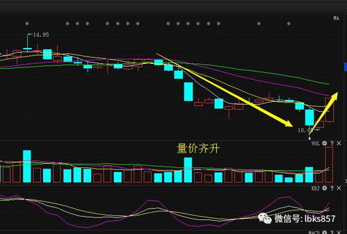 互联网板块的龙头股?