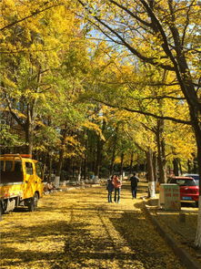 青岛八大关停车场收费不用交费吗(青岛市南区有免费停车场吗)