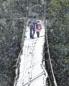 索桥在风雪中飘摇 小女孩上学紧抓妈妈不敢过桥 