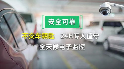 浦东新区标准停车场经营服务费,上海停车收费标准和规定