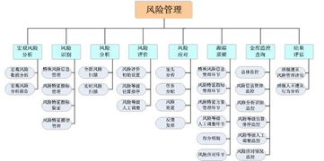 风险管理的基本程序有哪些？