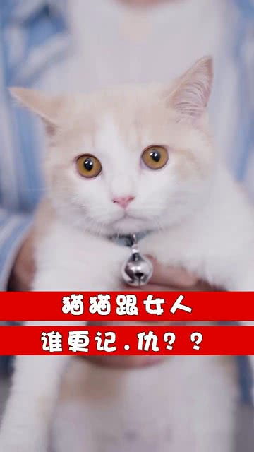 猫猫跟女孩子,那个更记.仇呢 