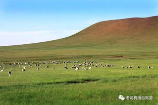 内蒙古赤峰克什克腾旗天气预报