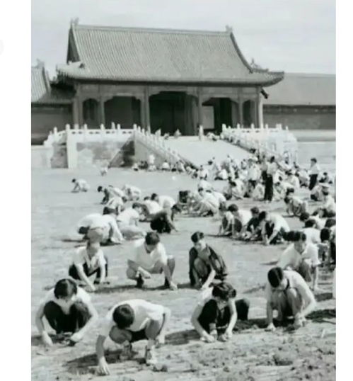 1949年，国家组织7万人故宫清垃圾