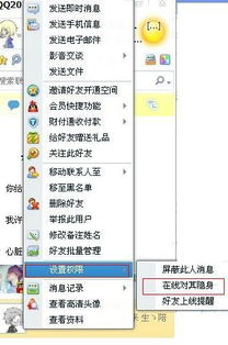 在线时如何设置好友面板里的一位好看不到自己 