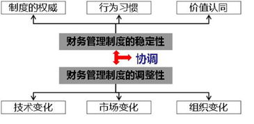 什么是财务管理体制