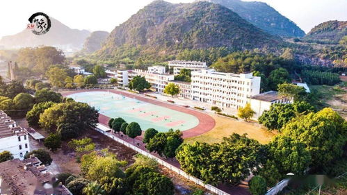 太好了 我县将计划在黎塘新建3所公办学校 其中宾阳中学黎塘校区备受关注