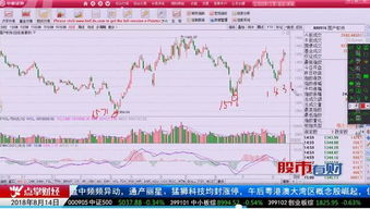 什么是2类股票，8类股票