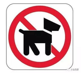 你养的狗狗不能随便带出门了 太仓公共场所内禁止养犬