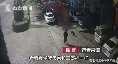 郑州新密警方急寻一条流浪汪,它4小时内协助警察破了大案