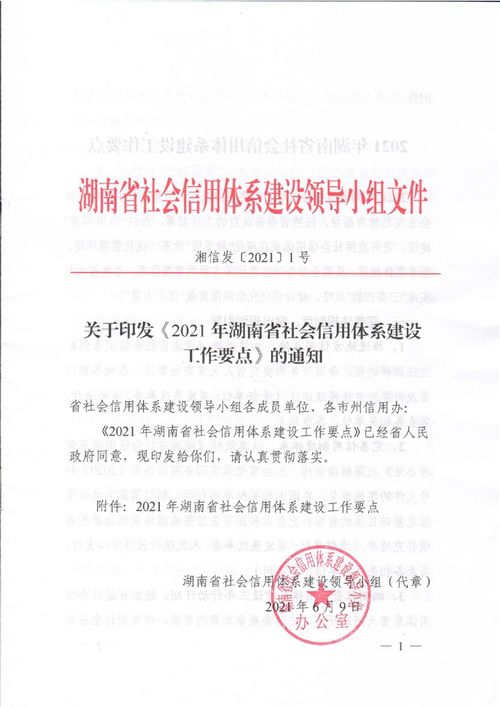 关于转发 2021年湖南省社会信用体系建设工作要点 的通知 