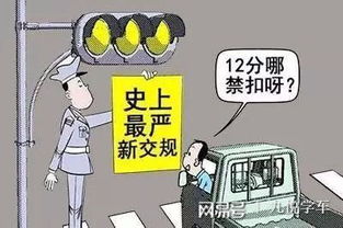 驾驶证12分被扣完了怎么办 这样做你就能继续开车