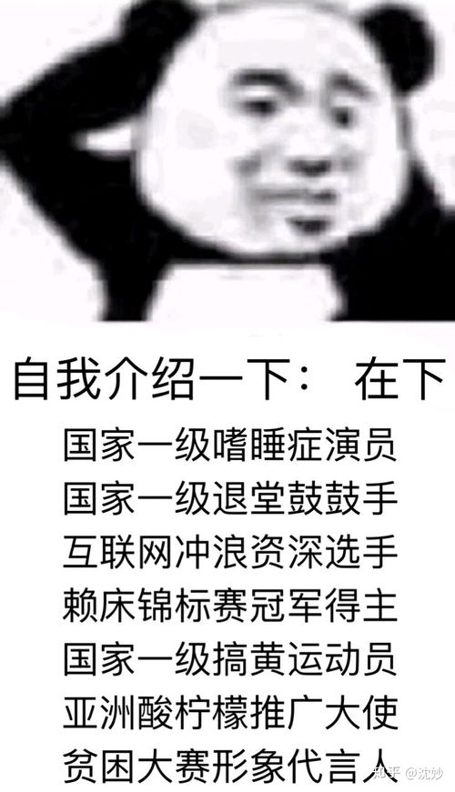 有趣幽默还有亮点的自我介绍文案 