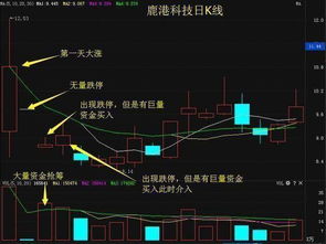 如何选股才能稳赚不赔