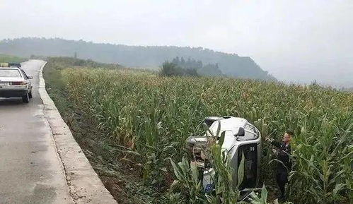 云南 心急 雨天路滑,车子翻进了玉米地 母子被困车内