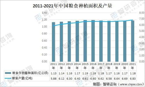 世界粮食价格升至历史高点 究竟是好是坏 中国迎绝佳发展机遇