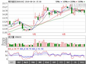 600100同方股份，股价最高多少钱？