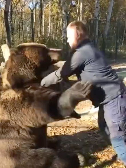 俄罗斯人和棕熊打起来了 